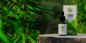 CBD Oil