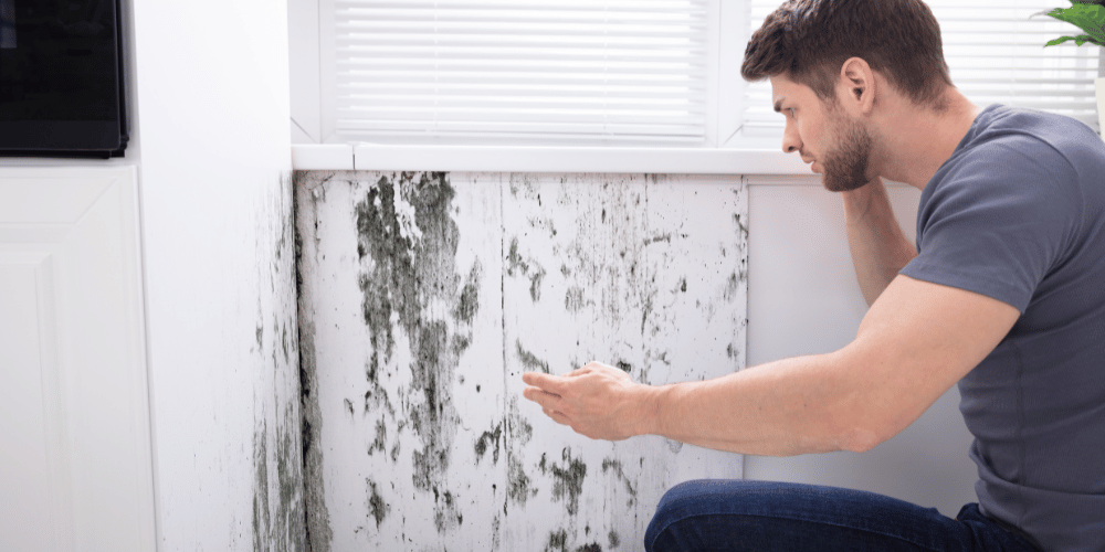 Symptoms of mold exposure